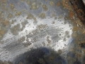 bf15bd1d08e600554aeb87d8dd2dada1