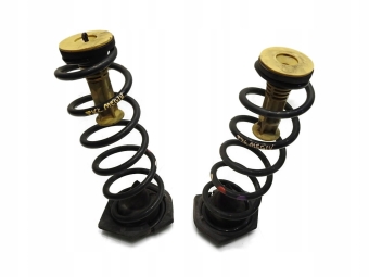 SPRĘŻYNA SPRĘŻYNY TYŁ RENAULT MEGANE IV HB .