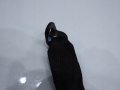 e948927578585b9bc0faa065d197cd24