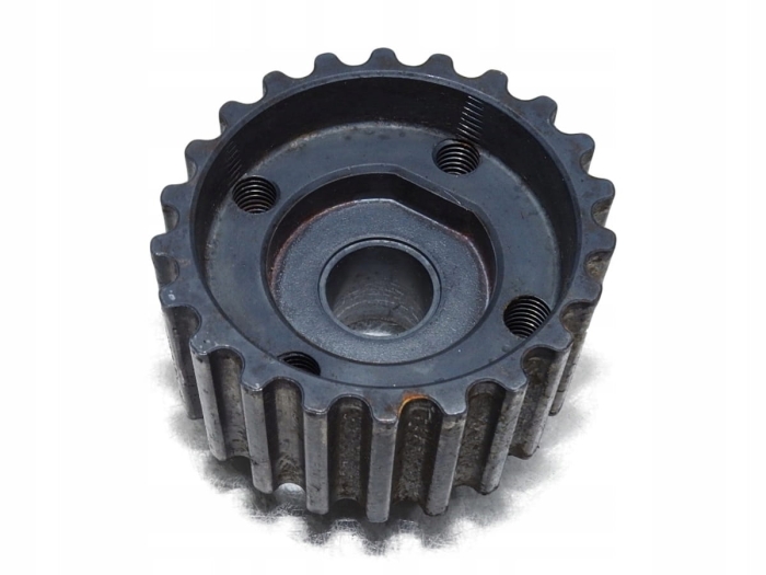 313a20fa01f28c4818e1f5dffa95bf25