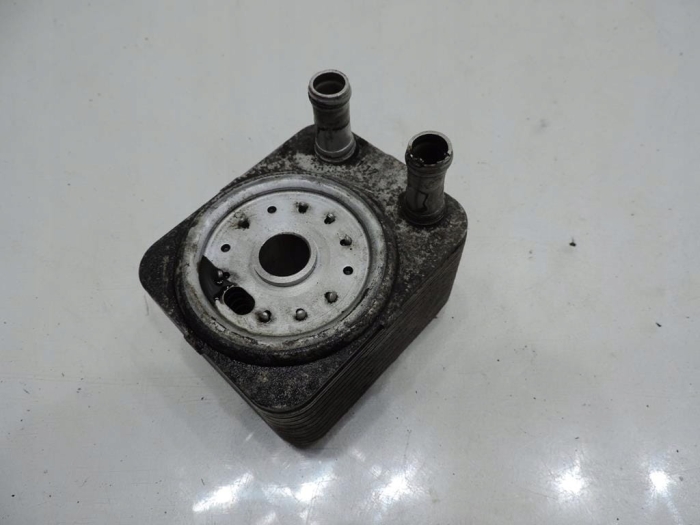 250306471557321e9f75e878d2f92935