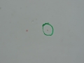 2162c03276248f17183bf3faba6a5da4
