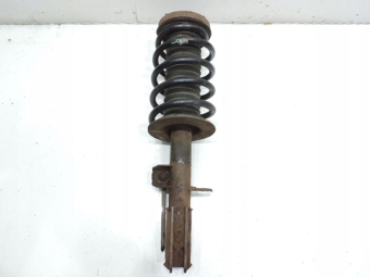 Amortyzator Sprężyna Lewy Przód Bmw X5 E53 3.0I