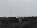 36311f4a8641be06289141af5a26794f