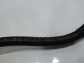 5fdc2d60826cb5fd9bb54d7f3507f98e