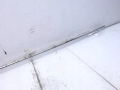 e167a1cf221fafc01681e12595fdff01