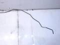 e917b7b458bab5feb3aeb1713fc3b79b