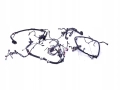 1f13c208840f9ac9dd173923e764005d