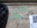 1364546ab57d7a7d9cae9446286c3fa4