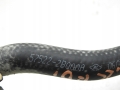 a8f1aade10cefcf8713c152e268a6870