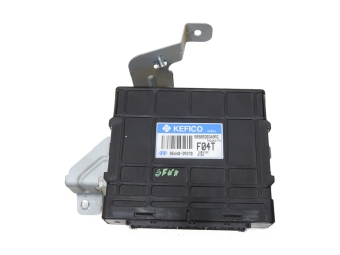 Sterownik Skrzyni Automat Santa Fe Ii 2.2 Crdi