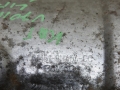 7cf42cd4dacef12c7172c0c76ab49ddf