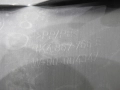 7b1cfee3e60bfcdb00b0eddecd9c4c9a