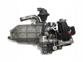 Chłodniczka Spalin Egr Peugeot 407 3.0 V6 Hdi