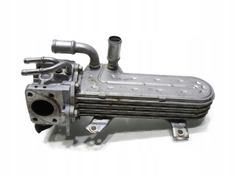 Chłodniczka Spalin Audi A3 8P 1.9 Tdi 038131513Ad