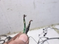 fb50c517ce1aab62cd59619134dbb4c6
