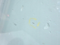 26979ecc8ce29d004c087d68fdaf1392