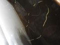 32ec5791f4062ccd32932de85e18dbd0