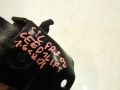 18449266eaa221528034b22b1adf9ebb