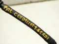 15bc17e87042ee170aeb96a808f0af02