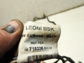 aa5929efa98659cd825144721269b492.jpg
