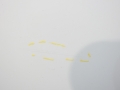 c5d029aa0f9f7e722dab68c81832ec1a.jpg