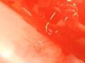 b5b02bafea1cc9b139a3cc9da272849d.jpg
