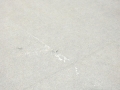 d92770b6f2d3bcd2bc721c1a051c0eaa.jpg