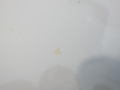 d893670a3de34ded8f7348fcbb19d4f5.jpg