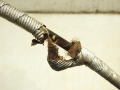 d9eb2eab3c8f939ef5edc531185fcc64.jpg