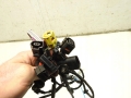 0ad6f9b7afed909d1a85a9d4e5489b50.jpg
