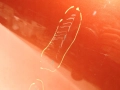 3129bf7101388d2d79d58fa16f5b1714.jpg