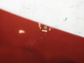 5190b9fd385f538e581e7dea34cec5af.jpg