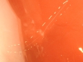 d25101f57d1a376a4a0f274b21aa5854.jpg