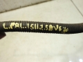 d2d62a6a7f5ee1313c0b6ab78d5c3a3c.jpg