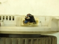 20099bbdfffe5cf0f5511086f8e76f0e.jpg