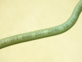cca801ddb7f6342a81e38fe309a47e47.jpg