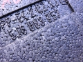 3fee5471a053c598081675647ba59777.jpg