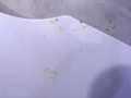 6da0c288262b3258355547528524cea0.jpg
