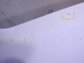 7e9337864bbb3ff2d7e6b5c213000a48.jpg
