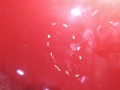 50c8d62a6f047350158383b327fd714c.jpg