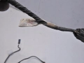 6cd673a18a9dbc45eaa850d8c1835f4c