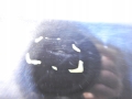 7e46d502bc3ce09d5f293c1fc06e9e26
