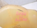 8081cd86535b5597a24df43b6e57a342