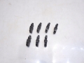 f43d1b3b31358e46a6248f674c91e1f9