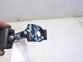 497d9f7ef2981bde9072c18910ab7448