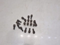 99caf9a78fe21f04f2aab2285b36ca75