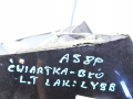 f4986b85e030ba660d9a391b06d1373a