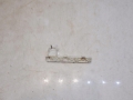 d0182ff877ec1f20a305932242956f9b
