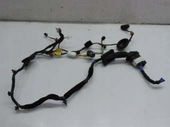 Wiązka Instalacja Drzwi Prawy Przód Kia Carens Iii